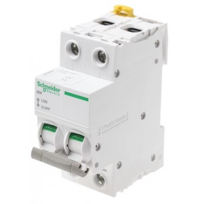 Schneider Electric A9S65292 2P Pole Isolator Switch - 125A Maximum Current, IP20