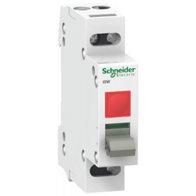 Schneider Electric A9S61220 2P Pole Isolator Switch - 20A Maximum Current, IP40