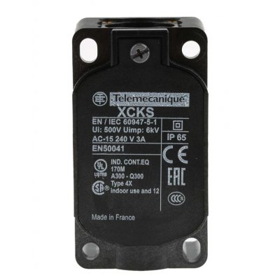 Telemecanique Sensors ZCKS1H29 Snap Action Limit Switch - Plastic, NO/NC, 240V, IP65