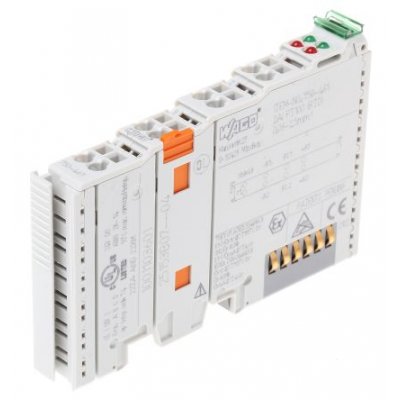 Wago 750461 PLC I/O Module 2 (Channel) Inputs